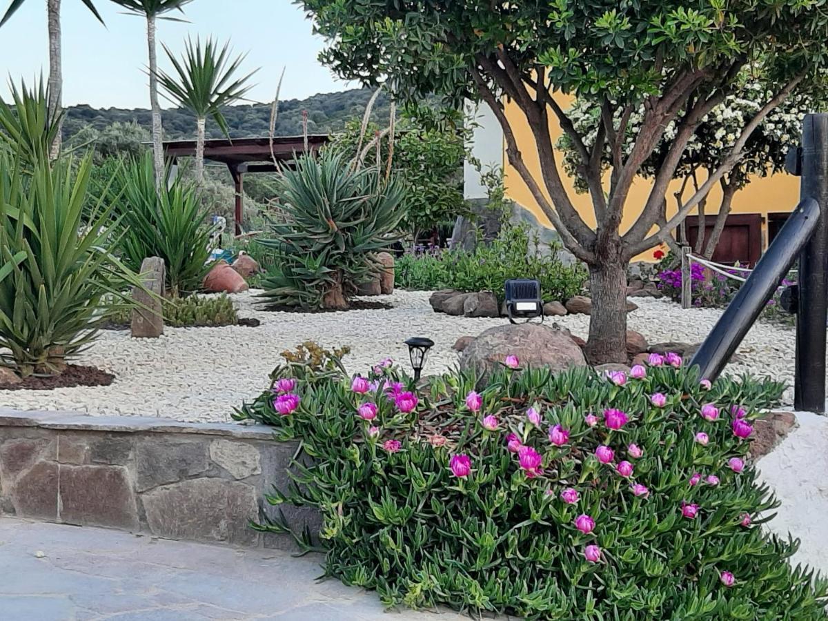 Villa Saige , Piscina Ad Uso Esclusivo, Con Idromassaggio Alghero Buitenkant foto